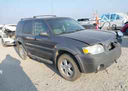 2006 FORD ESCAPE XLT