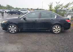 2010 HONDA ACCORD EX-L
