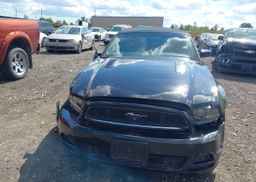 2013 FORD MUSTANG GT