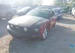 2008 FORD MUSTANG GT