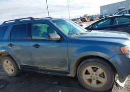 2012 FORD ESCAPE XLT