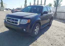 2009 FORD ESCAPE XLT