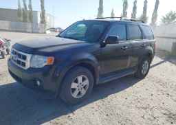 2009 FORD ESCAPE XLT