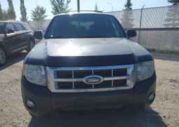 2009 FORD ESCAPE XLT