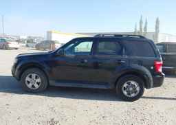 2009 FORD ESCAPE XLT