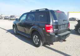 2009 FORD ESCAPE XLT