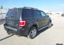 2009 FORD ESCAPE XLT