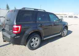 2009 FORD ESCAPE XLT