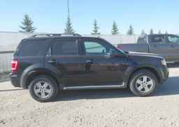 2009 FORD ESCAPE XLT