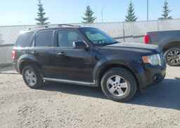 2009 FORD ESCAPE XLT