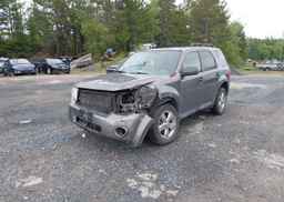 2010 FORD ESCAPE XLT AUTOMATIC