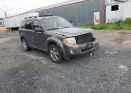 2010 FORD ESCAPE XLT AUTOMATIC