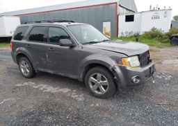 2010 FORD ESCAPE XLT AUTOMATIC