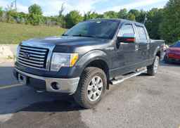 2012 FORD F-150 XLT
