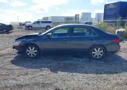 2005 HONDA ACCORD EX