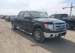 2013 FORD F150 SUPERCREW
