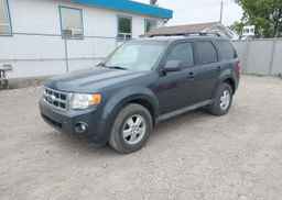 2009 FORD ESCAPE XLT