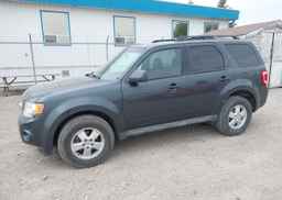 2009 FORD ESCAPE XLT