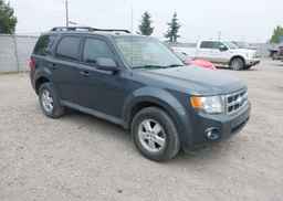 2009 FORD ESCAPE XLT
