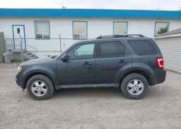 2009 FORD ESCAPE XLT