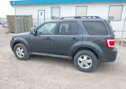 2009 FORD ESCAPE XLT