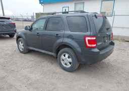 2009 FORD ESCAPE XLT