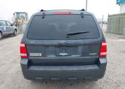 2009 FORD ESCAPE XLT
