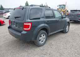 2009 FORD ESCAPE XLT