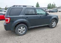 2009 FORD ESCAPE XLT