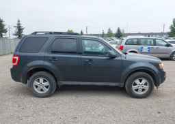 2009 FORD ESCAPE XLT