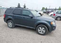 2009 FORD ESCAPE XLT