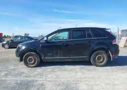 2008 LINCOLN MKX