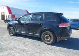 2008 LINCOLN MKX