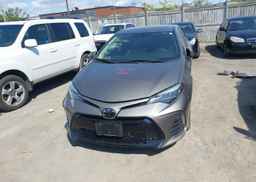 2019 TOYOTA COROLLA