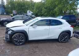 2019 LEXUS UX 250H