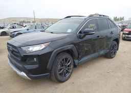 2019 TOYOTA RAV4 TRAIL