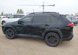 2019 TOYOTA RAV4 TRAIL
