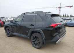 2019 TOYOTA RAV4 TRAIL