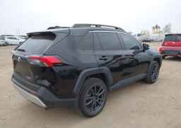 2019 TOYOTA RAV4 TRAIL