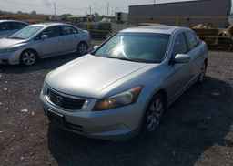 2009 HONDA ACCORD EXL
