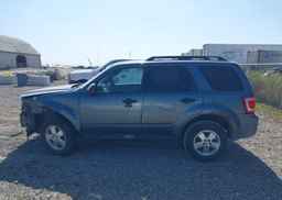 2012 FORD ESCAPE XLT