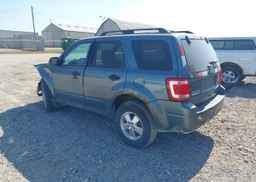 2012 FORD ESCAPE XLT