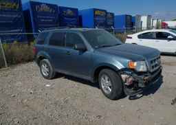 2012 FORD ESCAPE XLT