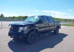 2013 FORD F-150 FX4