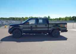 2013 FORD F-150 FX4