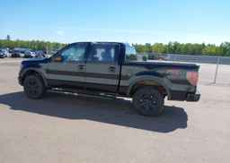 2013 FORD F-150 FX4