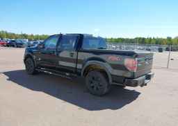 2013 FORD F-150 FX4