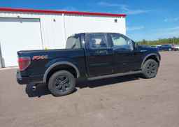 2013 FORD F-150 FX4