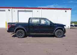 2013 FORD F-150 FX4