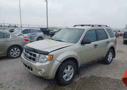 2011 FORD ESCAPE XLT